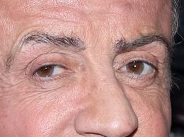 Sylvester Stallone eye color