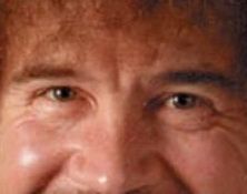 Bob Ross eye color