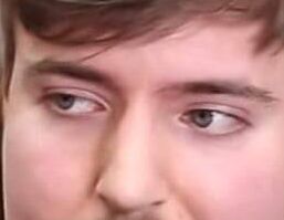 Mr Beast eye color