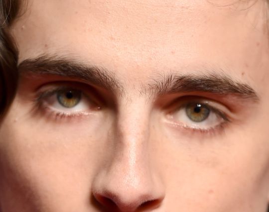 Timothée Chalamet eye color