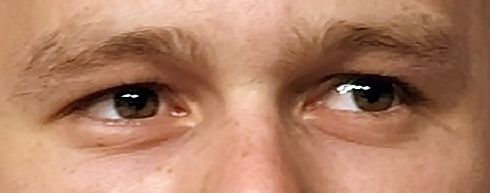 Heath Ledger eye color