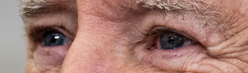 Joe Biden eye color