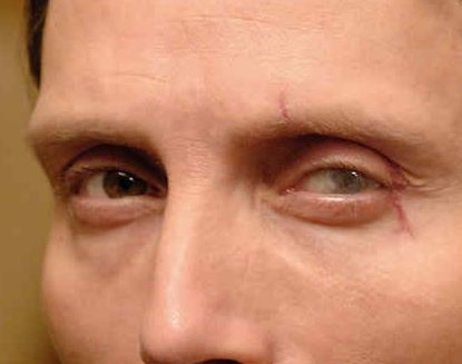 Mads Mikkelsen eye color