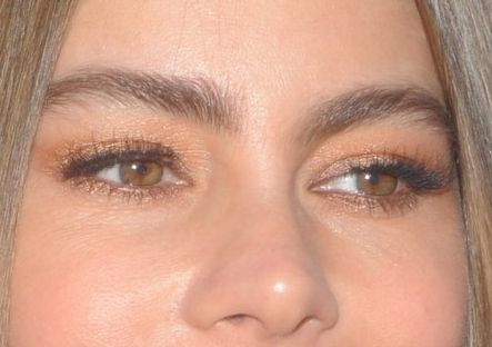 Sofia Vergara eye color