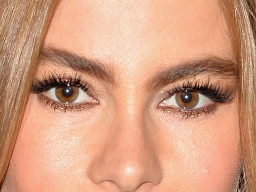 Sofia Vergara eye color