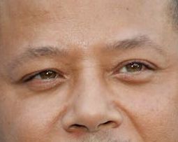 Terrence Howard eye color