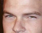 Alan Ritchson eye color