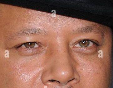 Terrence Howard eye color