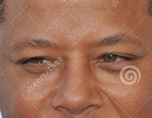 Terrence Howard eye color