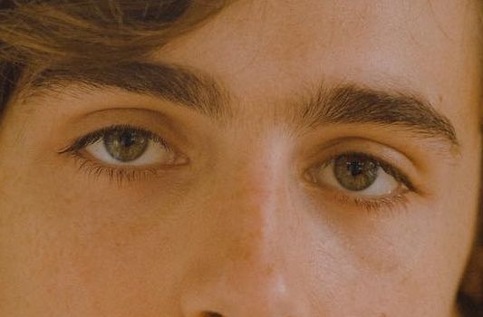 Timothée Chalamet eye color