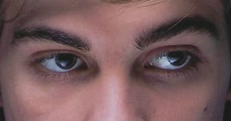 Lorenzo Zurzolo eye color