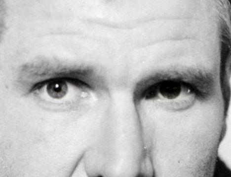 Harrison Ford eye color