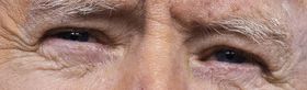 Joe Biden eye color