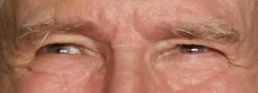 Harrison Ford eye color