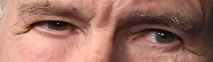 Harrison Ford eye color