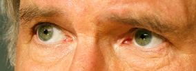 Harrison Ford eye color