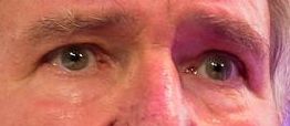 Harrison Ford eye color