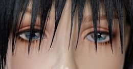 Toji Fushiguro eye color