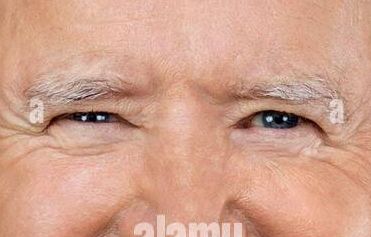 Joe Biden eye color