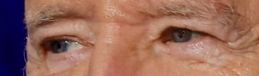 Joe Biden eye color