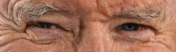 Joe Biden eye color