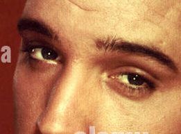 Elvis Presley eye color