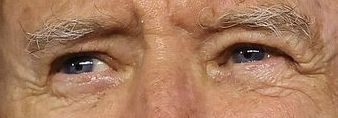 Joe Biden eye color