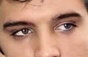 Elvis Presley eye color