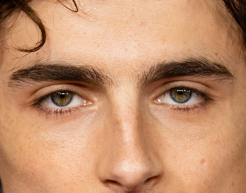 Timothée Chalamet eye color