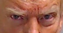 Trump eye color