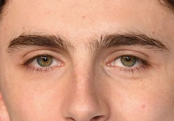 Timothée Chalamet eye color