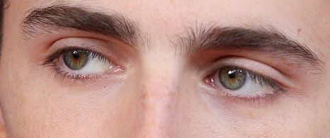 Timothée Chalamet eye color