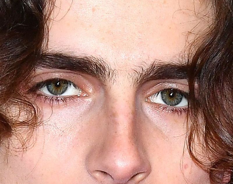 Timothée Chalamet eye color