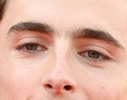 Timothée Chalamet eye color