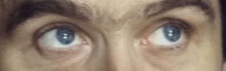 Ted Bundy eye color