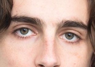 Timothée Chalamet eye color