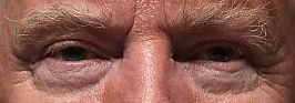 Trump eye color