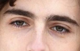 Timothée Chalamet eye color