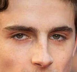 Timothée Chalamet eye color