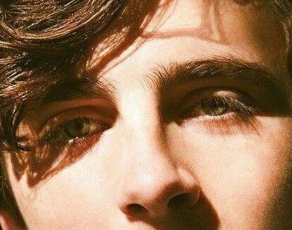 Timothée Chalamet eye color