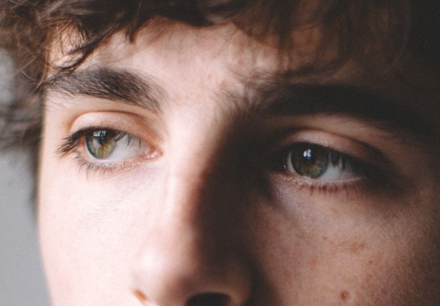 Timothée Chalamet eye color